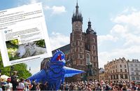 Kraków cenzuruje komentarze o kontrowersyjnym wynajmie owcy za 6 tys. zł. 