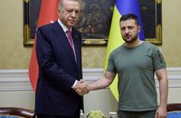 Zełenski ujawnił, o czym rozmawiał z Erdoganem we Lwowie 